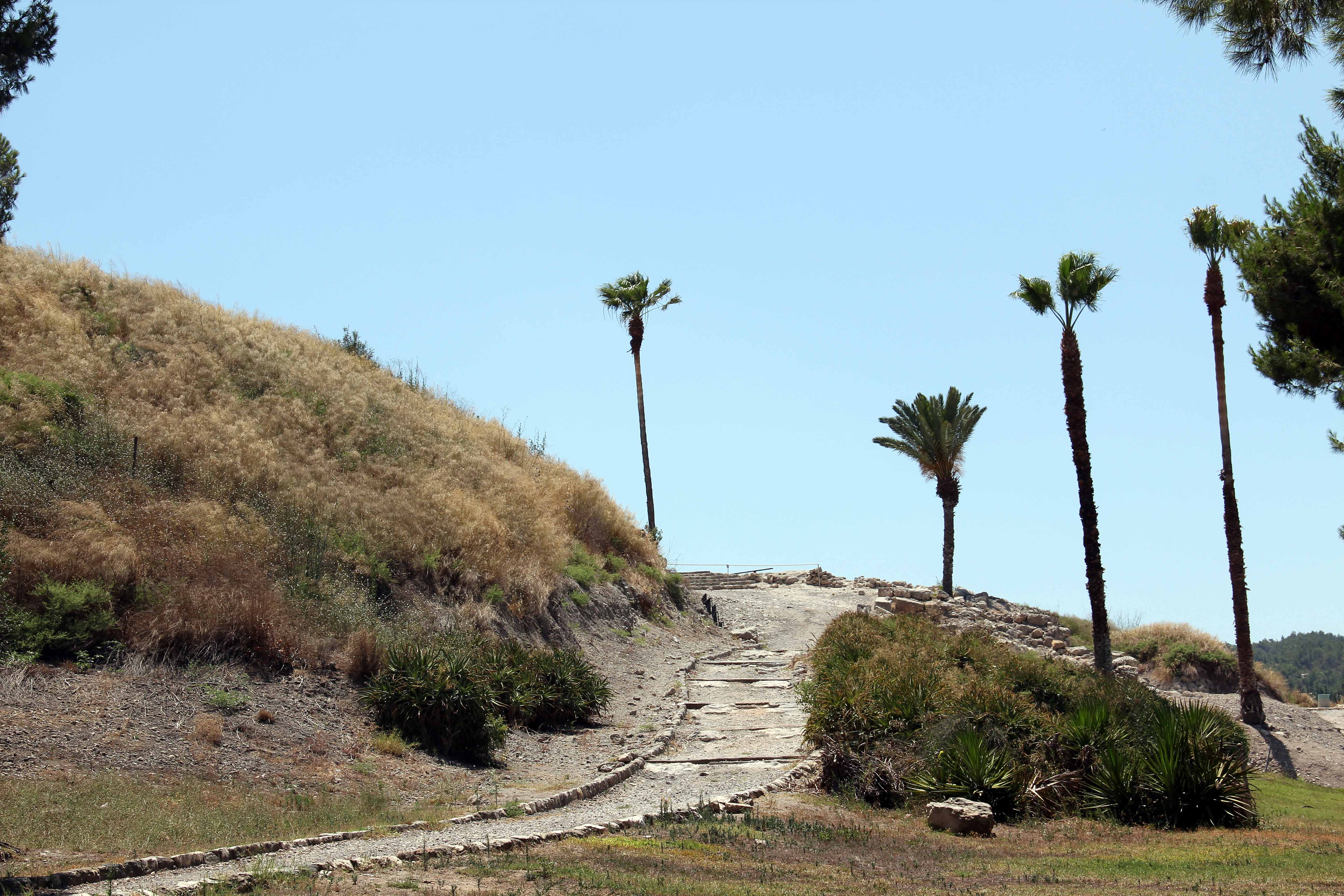 Megiddo image 5